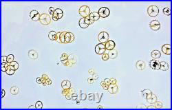 70x Vintage Balance Wheels & Roller Tables Pocket Watch Repair Parts Lot 70x Vintage Balance Wheels & Roller Tables Pocket Watch Repair Parts Lot