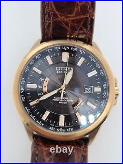 Citizen Eco-Drive Lt. Ed. Radio Controlled World Perpetual Watch for PART/REPAIR