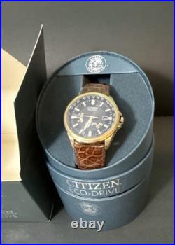 Citizen Eco-Drive Lt. Ed. Radio Controlled World Perpetual Watch for PART/REPAIR