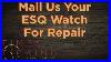 Esq Watch Repair