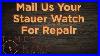 Stauer Watch Repair