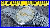 This Omega Constellation Was Butchered A Repair Journey