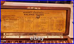 Vintage Swartchild & Co. Watchmakers Repair Watch Screws Set 49062n Vials & Box